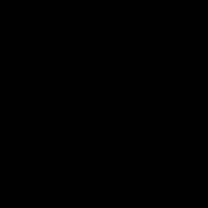 Meet your Posher, Dovid